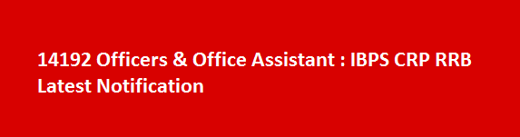 14192 Officers Office Assistant Job Vacancies 2017 IBPS CRP RRB Latest Notification