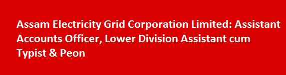 Assam Electricity Grid Corporation Limited Job Vacancies 2017 Assistant Accounts Officer Lower Division Assistant cum Typist Peon