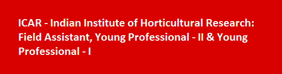 ICAR Indian Institute of Horticultural Research Latest Jobs 2017 Field Assistant Young Professional II Young Professional I