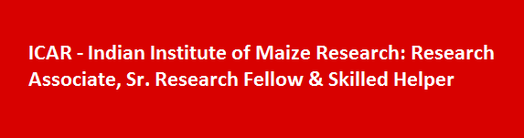 ICAR Indian Institute of Maize Research Walk in Interviews 2017 Research Associate Sr. Research Fellow Skilled Helper