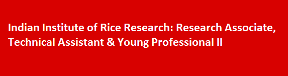 Indian Institute of Rice Research Job Vacancies 2017 Research Associate Technical Assistant Young Professional II