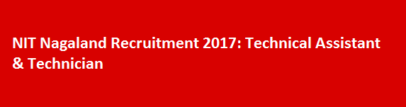 NIT Nagaland Recruitment 2017 Technical Assistant Technician