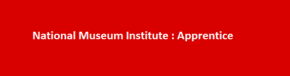 National Museum Institute Job Vacancies 2017 Apprentice