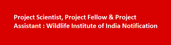 Project Scientist Project Fellow Project Assistant Job Vacancies 2017 Wildlife Institute of India Notification