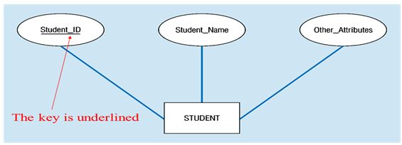 Attributes types of attributes